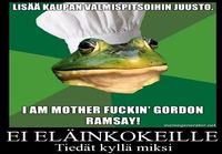 Ei eläinkokeille