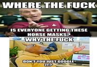 Horse mask