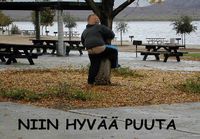 hybää puuta