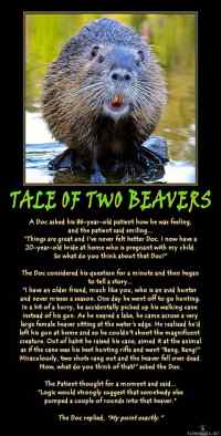 Tale of two beavers