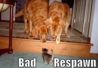 Bad respawn