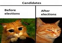 Before And After Elections