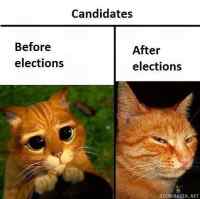 Before And After Elections