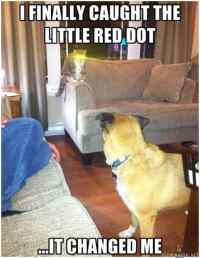 Little red dot