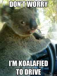 Koalified driver