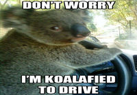 Koalified driver