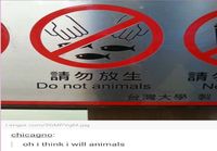 Do not animals