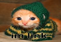 I\&#039;m Link