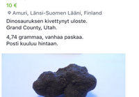 Feissarikirppiksen löytöjä