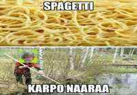 Spagetti