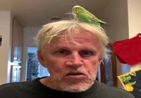 Gary Busey ja undulaatti