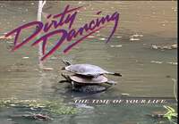 Dirty dancing