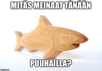 Mitäs meinaat tänään puuhailla?