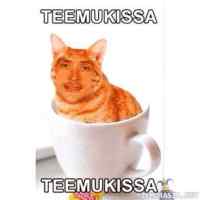 Teemukissa - Teemukissa teemukissa