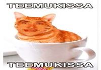 Teemukissa