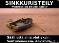 Sinkkuristeily