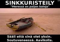 Sinkkuristeily