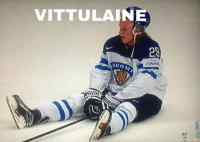 Vittulaine - kun harmittaa