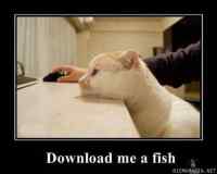 Download me a fish