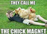 Chick magnet