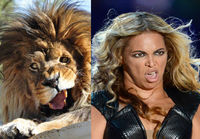 Lioncé