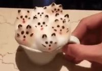 Cattuchino