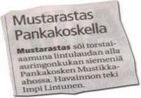 Mustarastas pankakoskella