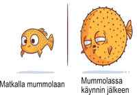 Mummolassa käynti