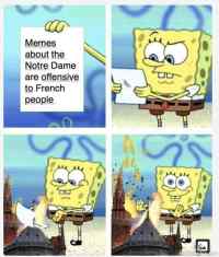 Ranskalaisten reaktio Notre Dame meemeihin