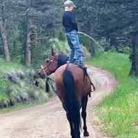 Synnynnäinen cowboy