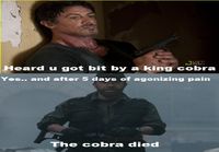 Chuck Norris vs king cobra