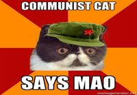 Communist Cat