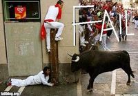 Bull Fail