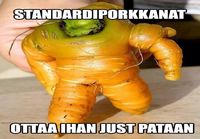 Porkkana uhittelee