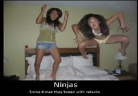 Ninjat