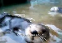 Nellie, the talking otter tekstitettynä