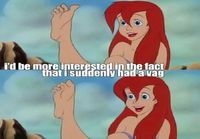 Ariel