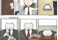 The Adventures of Business Cat