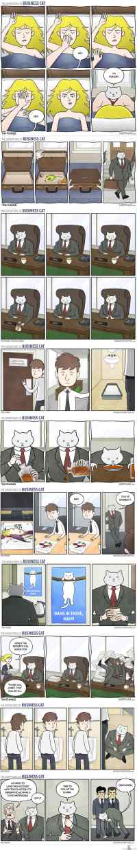 The Adventures of Business Cat