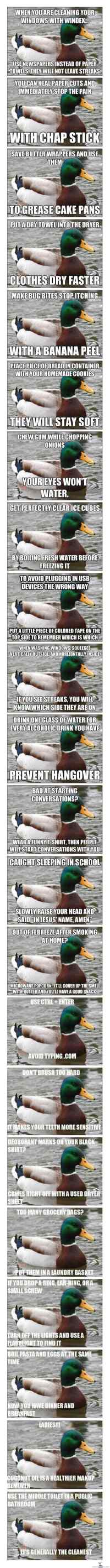 Advice Duck - Neuvosorsa