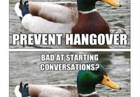 Advice Duck