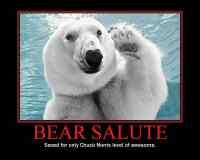 bear salute