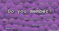 Member Berries - I member.