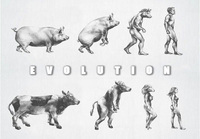 Evoluutio