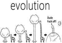 Evoluutio