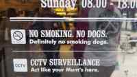 No smoking dogs