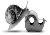 Snail.