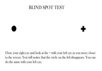 Blind Spot