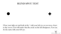 Blind Spot - Blind Spot