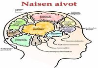 Naisen aivot